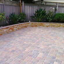 Yard/Landscaping
