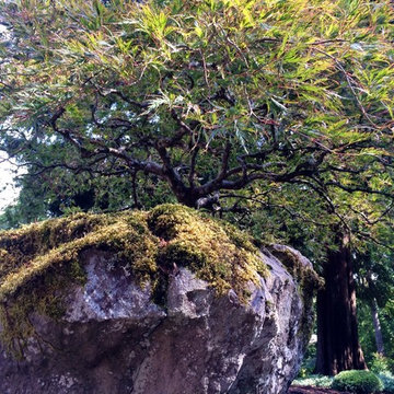 West Linn Japanese Garden Restoration