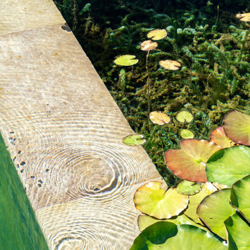 Louth Natural Pool