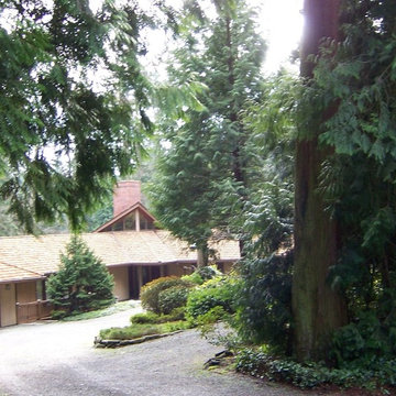 Modern Kitchen in the Forest