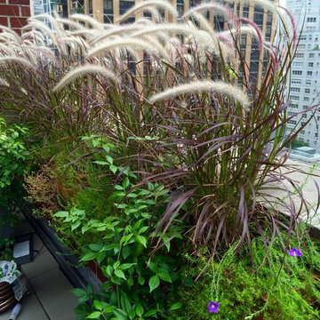 Upper West Side Terrace