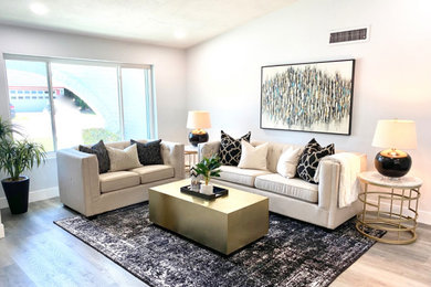 Living room - mid-sized traditional living room idea in Phoenix