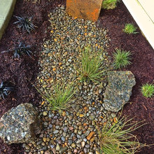 Home Landscaping
