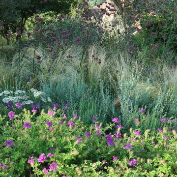 Giardino mediterraneo moderno