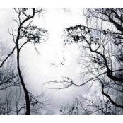 Sally Nihisers foto