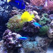 Bridget Carlson Baker's photo
