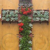 Javier Calisog's photo