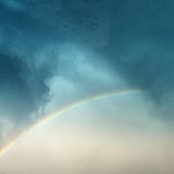 Teri Kolisch Collier's photo