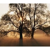Kevin Whitmire's photo