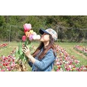 Hoa Pham's photo
