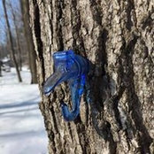 Philippe Jacques's photo