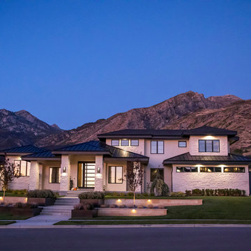 Modern Front Yard Landscaping