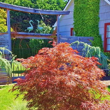 Lincoln Landscape & Lawn MakeOver 2
