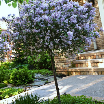 Urban Gardener's City Retreat