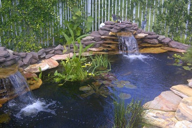 Inspiration for a large tropical full sun backyard stone water fountain landscape in Miami for spring.