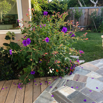 Ipe deck meets Stone patio