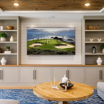 Rec Room & Lower Level Living Space