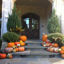 Fall Displays