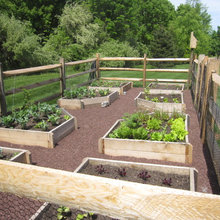 our yard