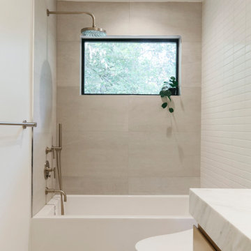 Tub Shower with Brushed Nickel Metal Finishes