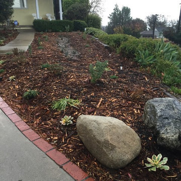 Remove Grass Patch #1