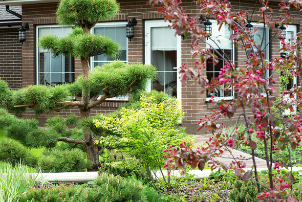 Современный  by Татьяна Звёздочкина/Студия VENUS DESIGN