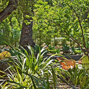 New 1-Year-Old Garden
