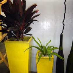 Container gardening - Products