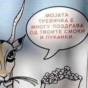 Разал Ветаљs billede