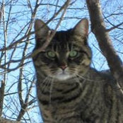 Marie-Claude Decelles's photo