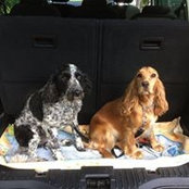 Corinne Carthy's photo