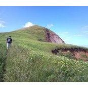 David Gelati's photo