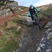 Tracey Boyall's photo