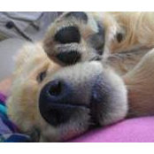 Cynthia Dehm's photo