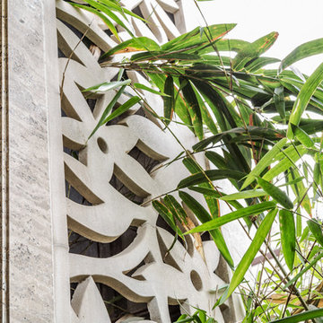 The House Of Plumeria,New Delhi by Renesa Architecture Studio.