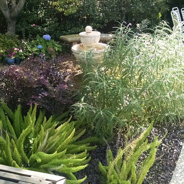 Milpitas Front and Back yard Rebuild