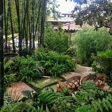 Garden - Japanese