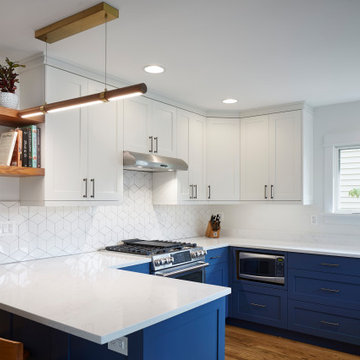 Oak Park Kitchen Renovation