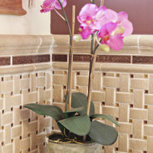 Tile, Granite, Stone, etc