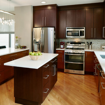 South Loop Town Home