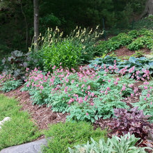 Landscape Ideas