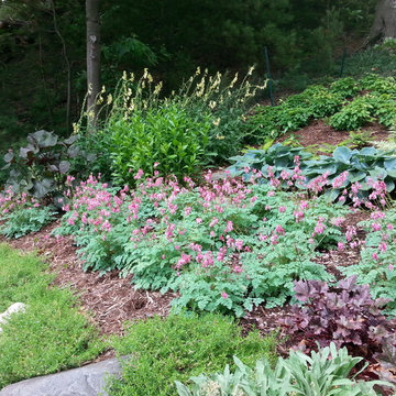 Duneside Shade Garden