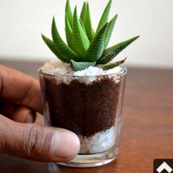Corporate gifting and Diwali gifting - Garden Products
