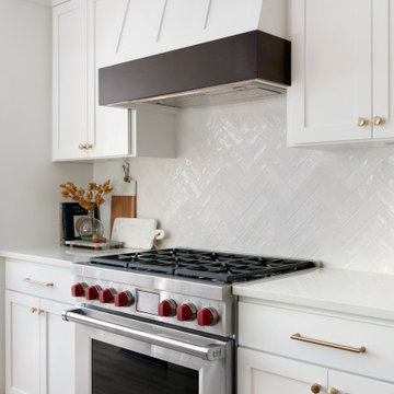 Edina Court - Whole Home Remodel
