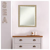 Paris Champagne Beveled Wall Mirror - 18 x 22 in.