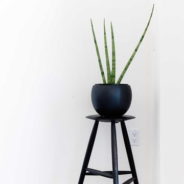Cow Hollow Interiors