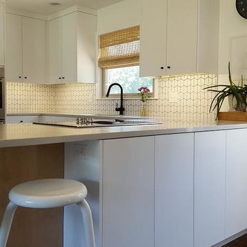 Painted Slab Doors (on MDF)