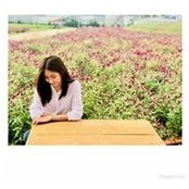 Cindy Winston's photo