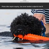Suzanne Widdowson's photo