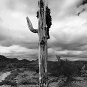 Kyna Patterson's photo